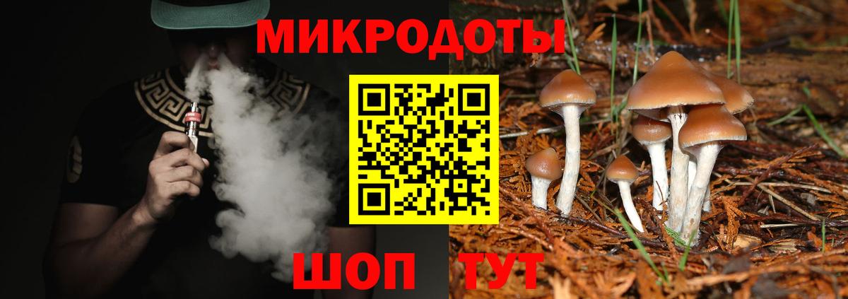 хочу наркоту  Вход с VPN  Королёв  Галлюциногенные грибы Psilocybine cubensis 